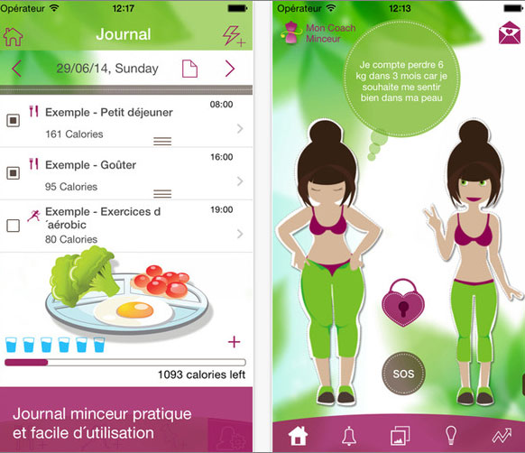 my slimming coach