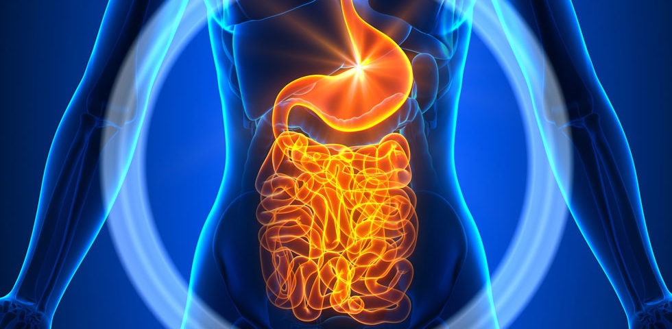 maladies inflammatoires de l'intestin