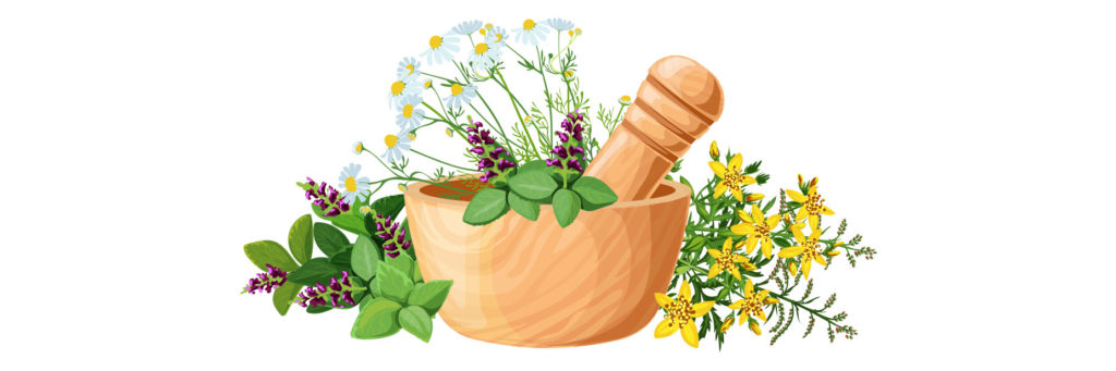 Medical plants