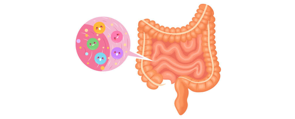 Probiotics