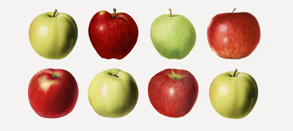 types de pomme