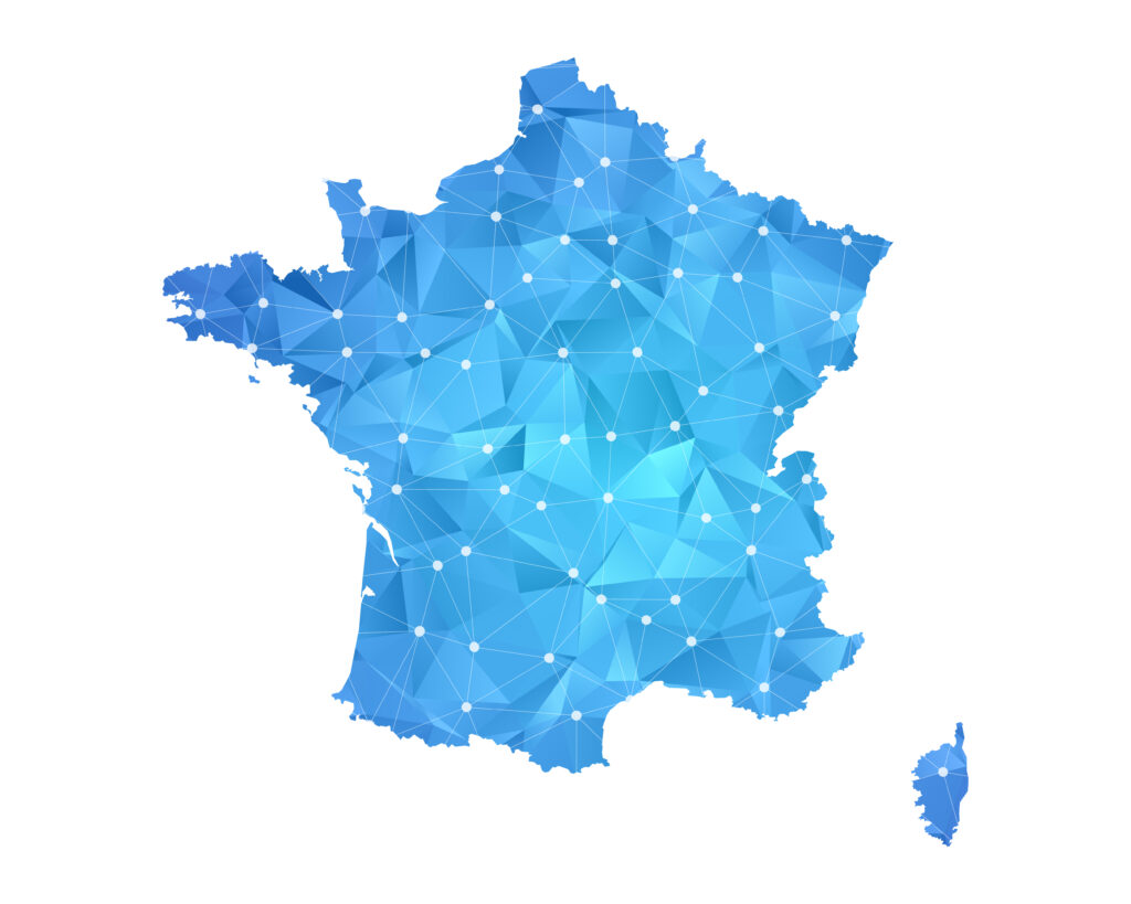 overweight in France