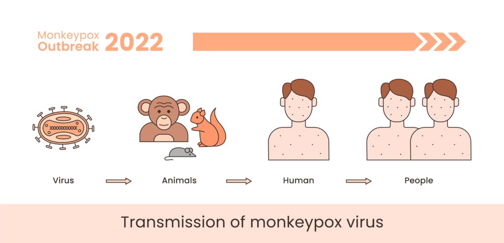 transmission de la variole du singe