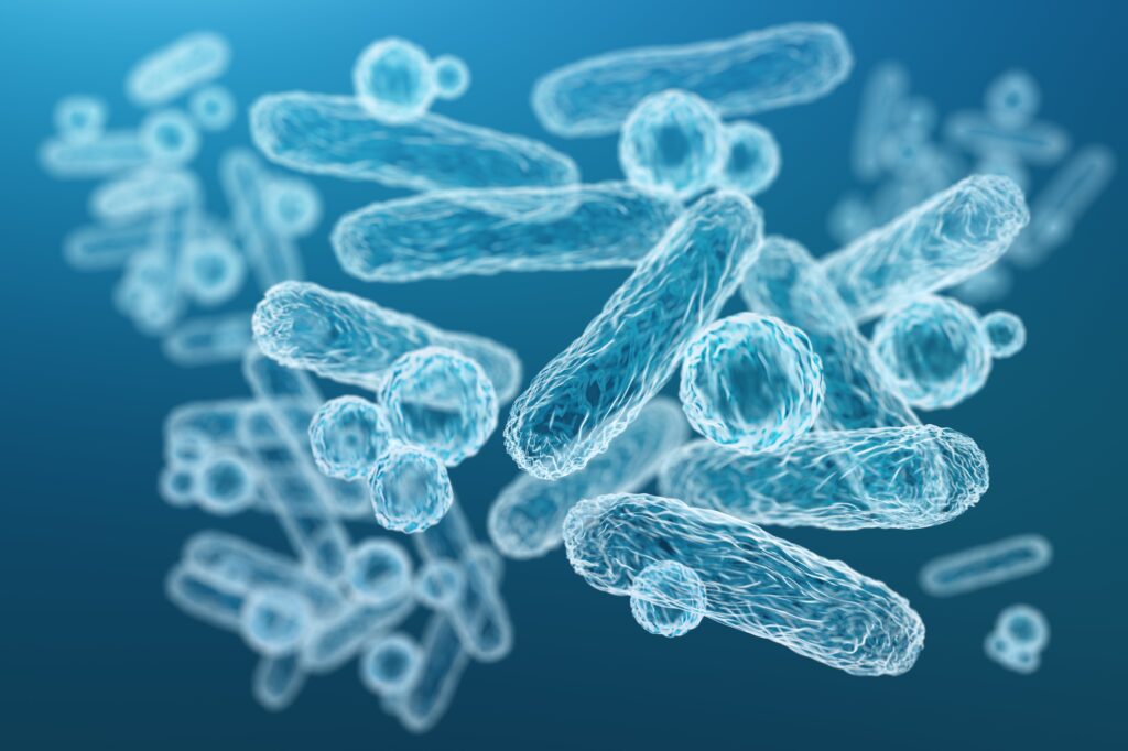 microbiote intestinal