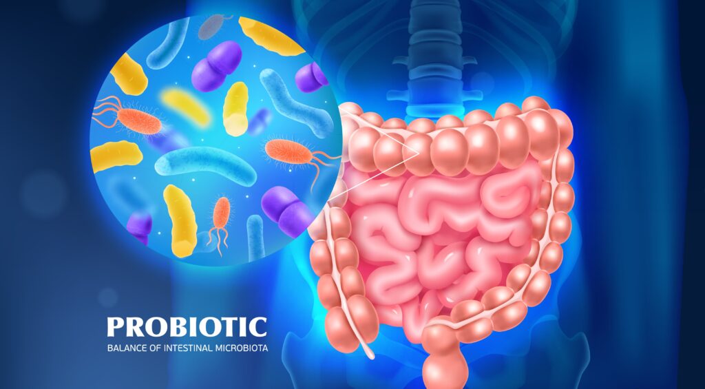 probiotiques