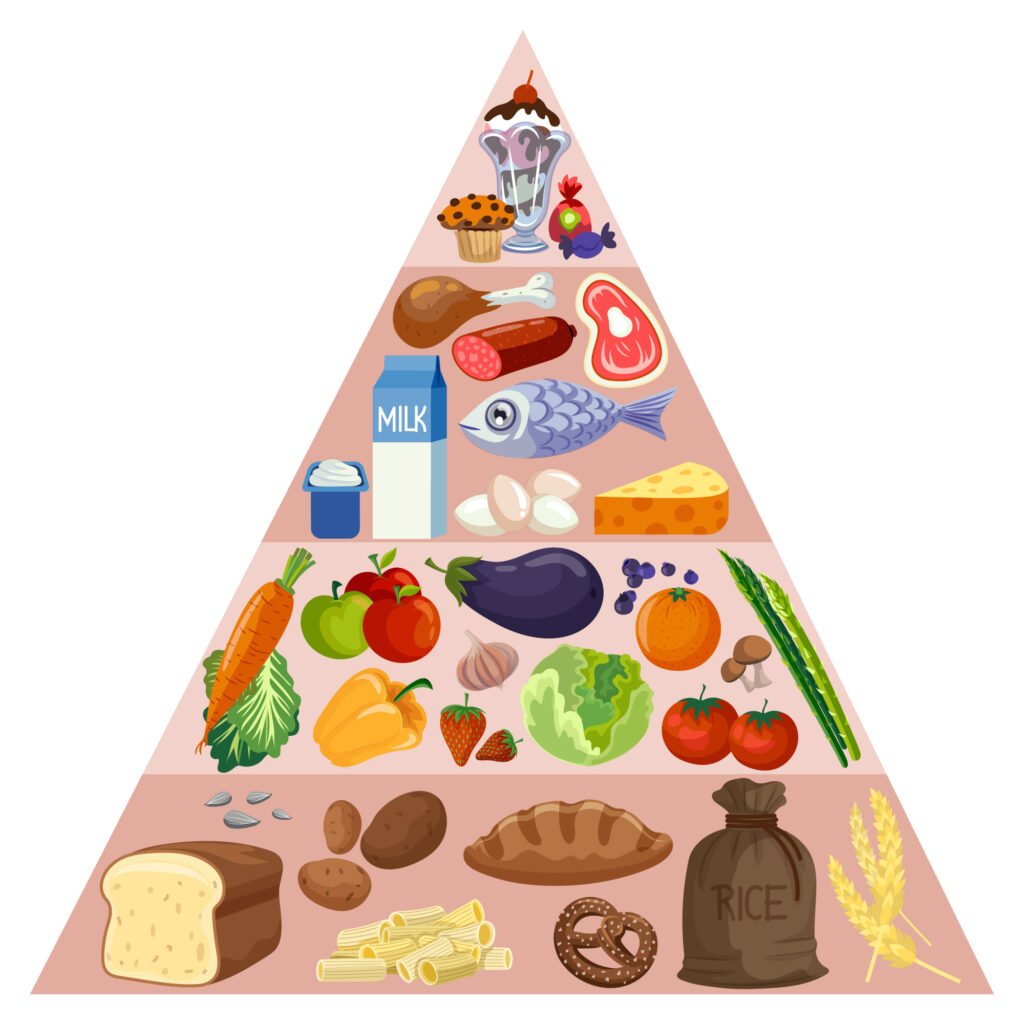 alimentation régimes
