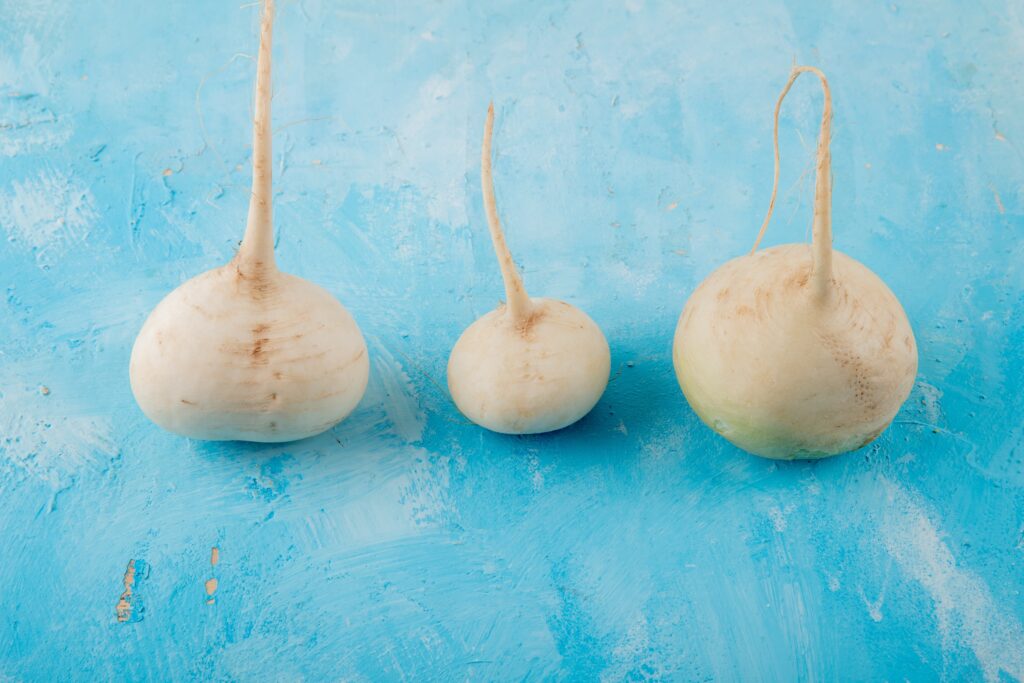 radis aliments faibles en sucre