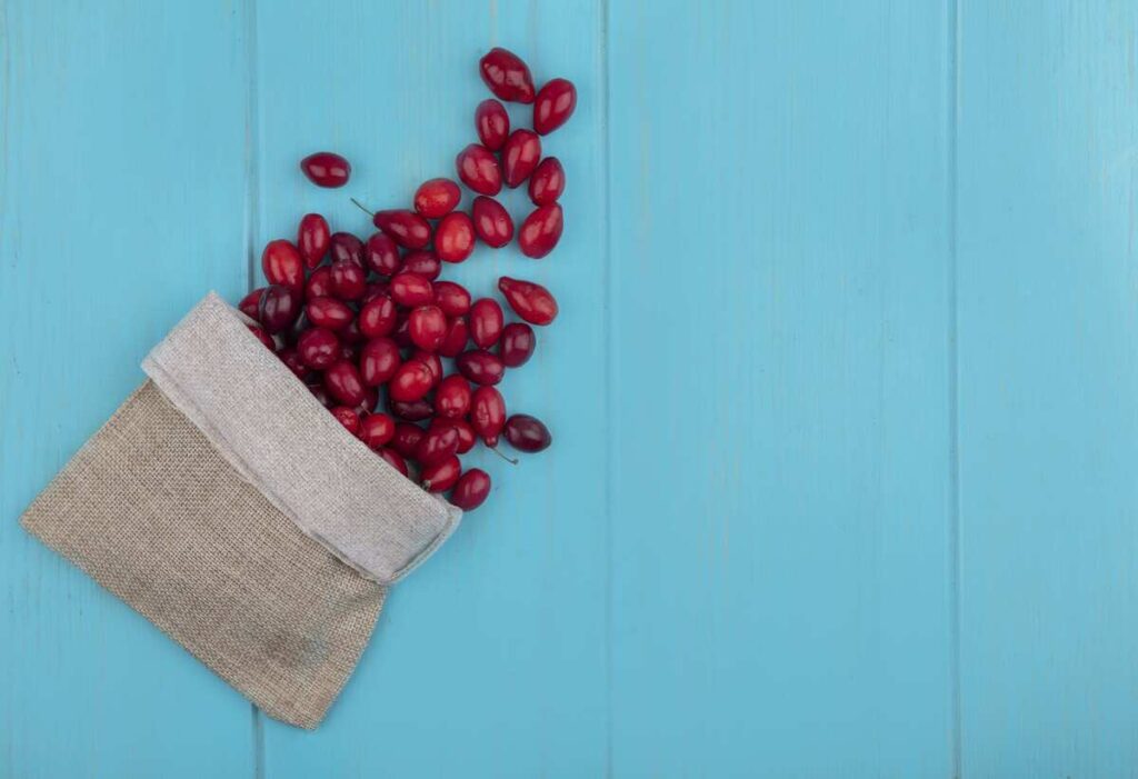 baies de goji super aliments