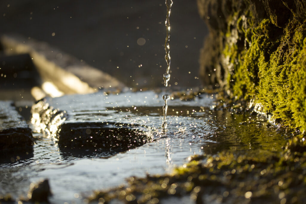 hydratation