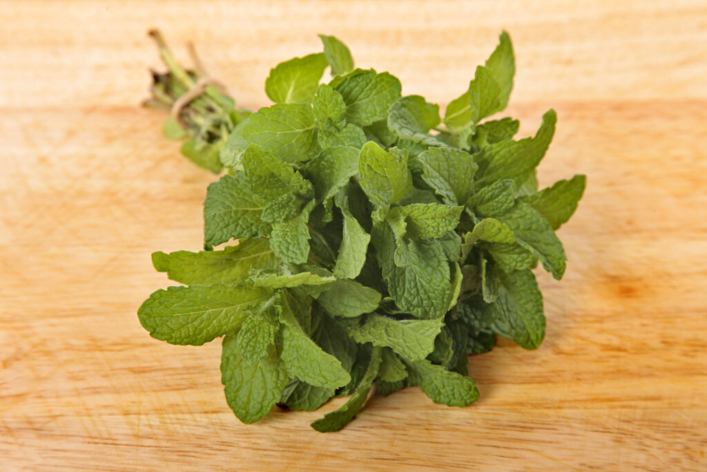 menthe poivrée remède de grand-mère contre inflammation intestinale