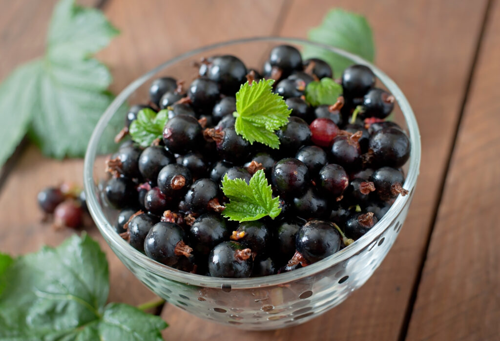 cassis contre les inflammations