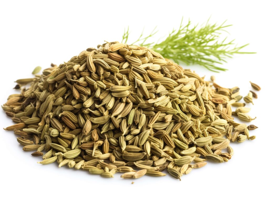 fenouil