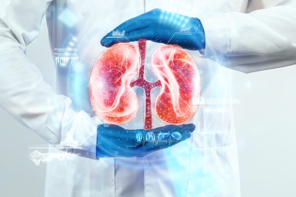 docteur reins