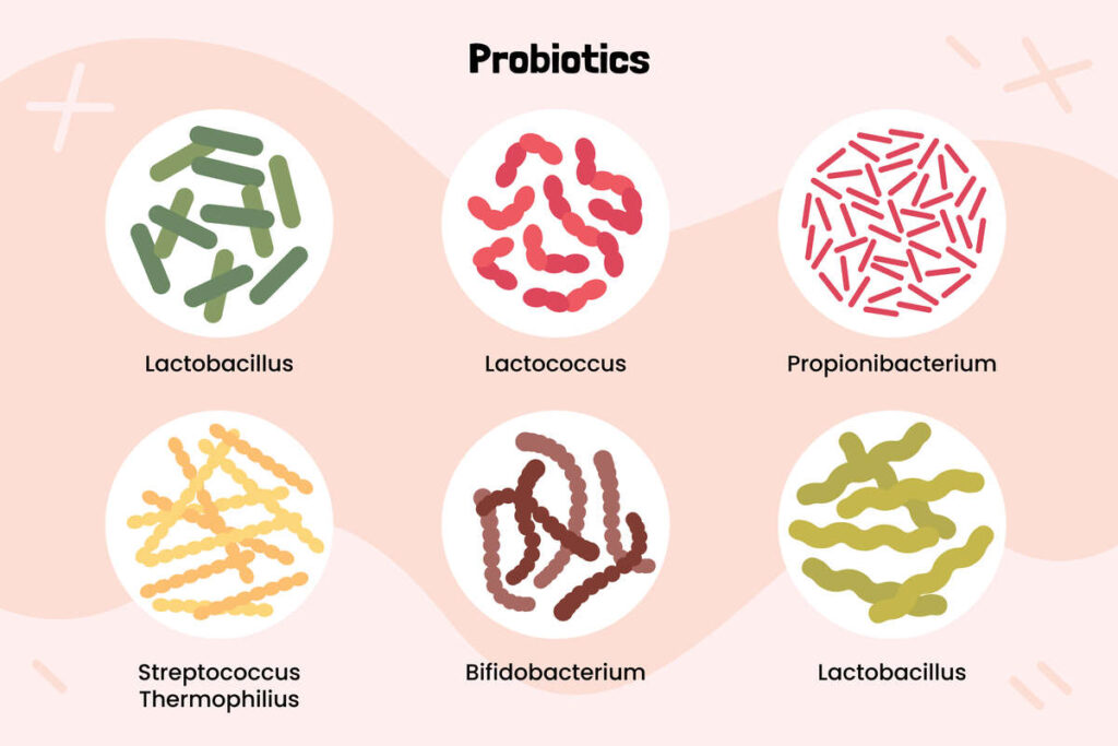 Probiotique