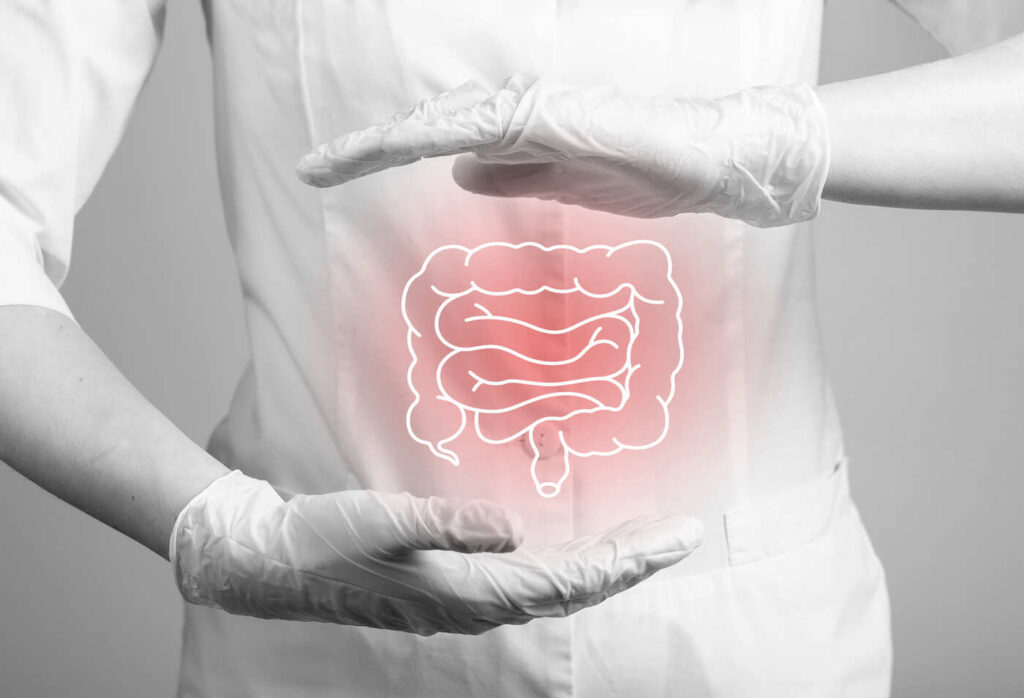 docteur intestin grêle