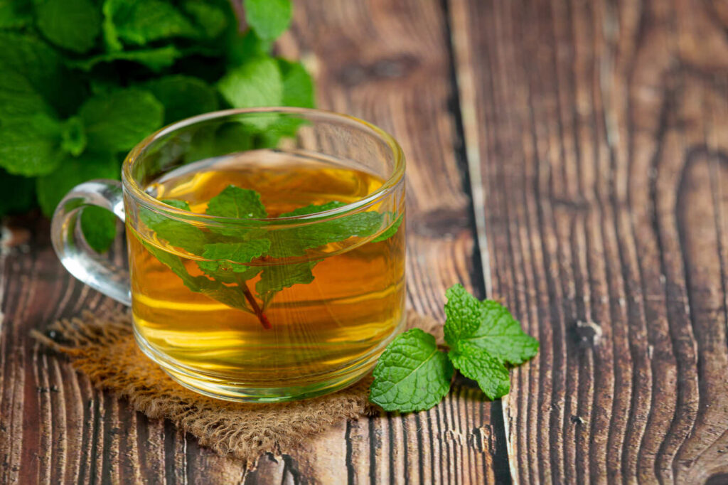 infusion menthe