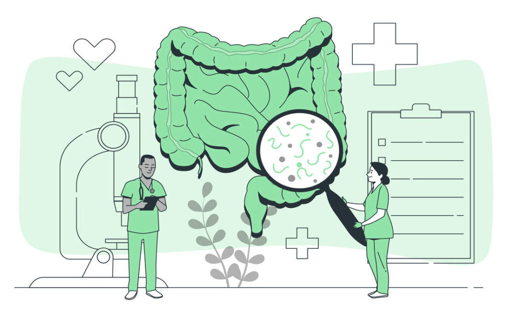 processus de digestion des sucres lents