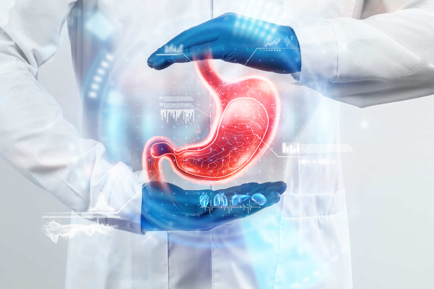 Chyme : définition, formation et role clé dans la digestion
