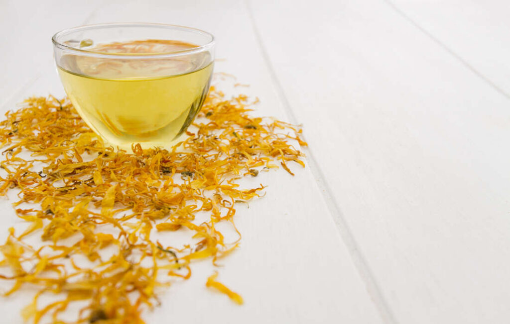 infusion de fenouil