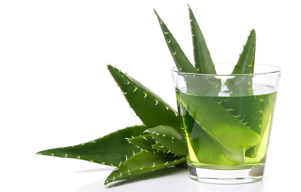 Jus d'Aloe Vera remède de grand-mère pour maigrir du ventre