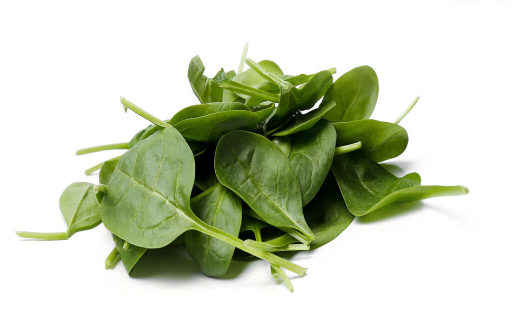 Épinards riche en vitamine b