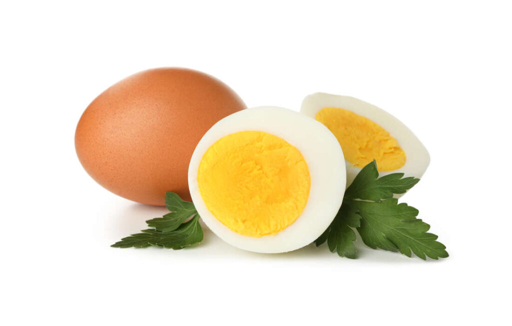 oeuf riche en calcium
