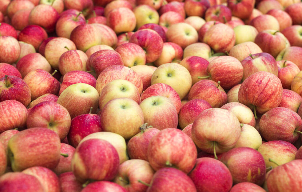 Pommes
