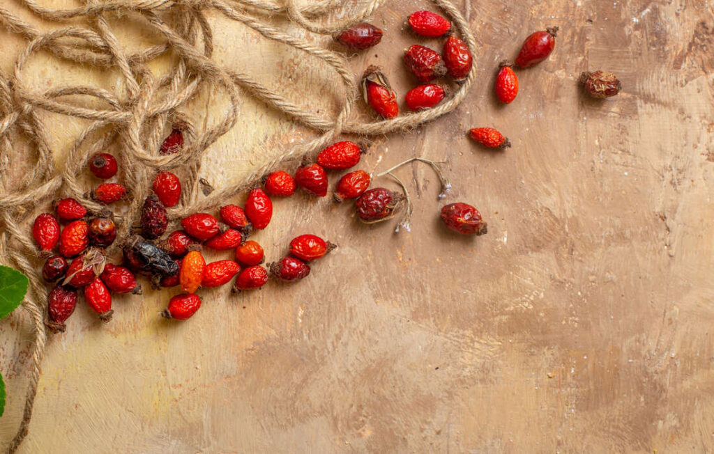 Baies de Goji