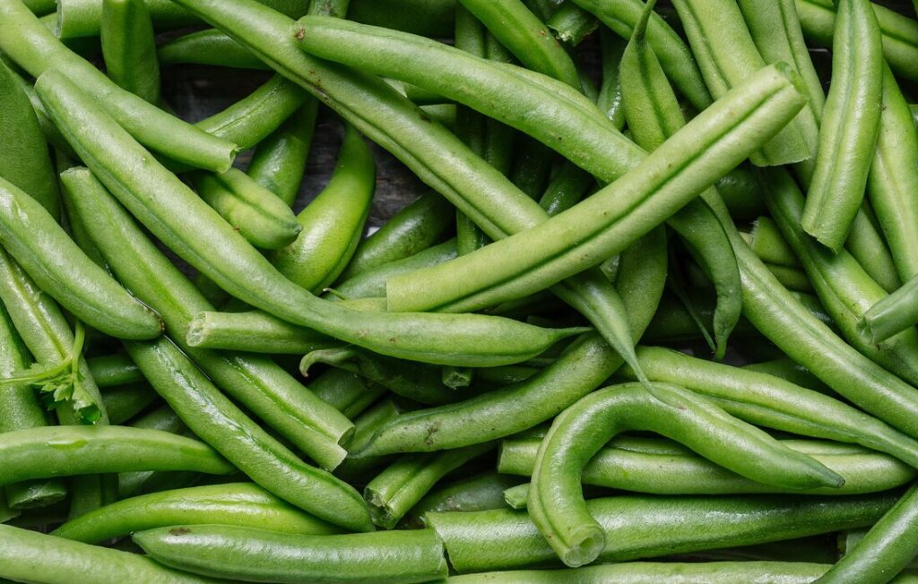 Haricots Verts riche en fibre