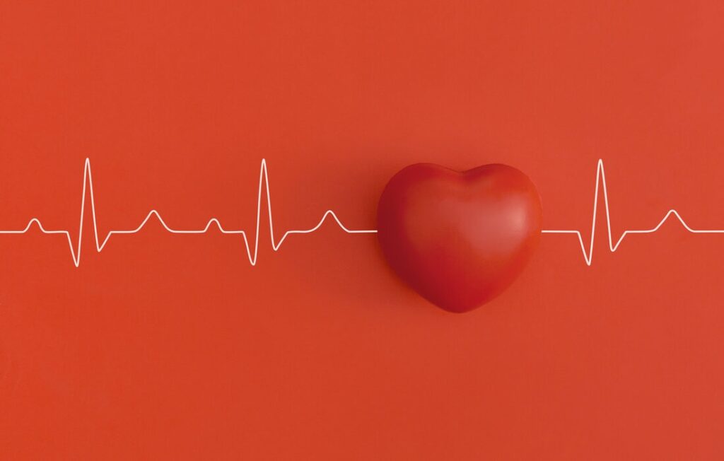 vitamine k bonne pour le coeur