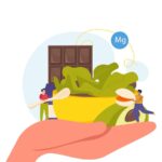 top 10 des aliments riches en magnésium