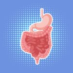 transit intestinal